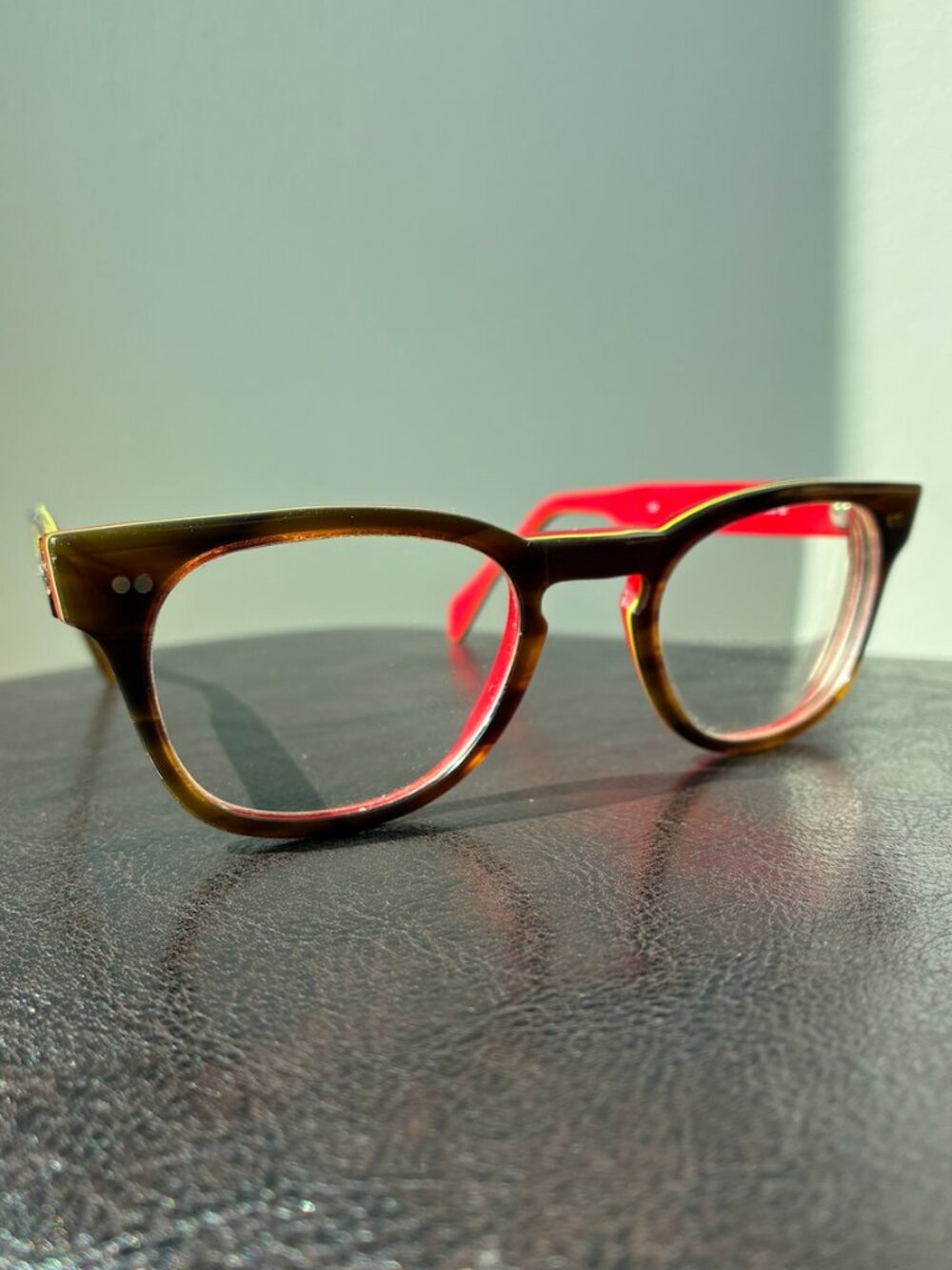 Preciosa Frame Holland - Model 707 Classic Tortoiseshell Frame w/ Red Inner